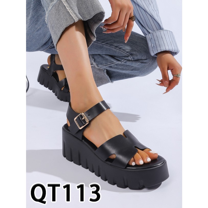QT113