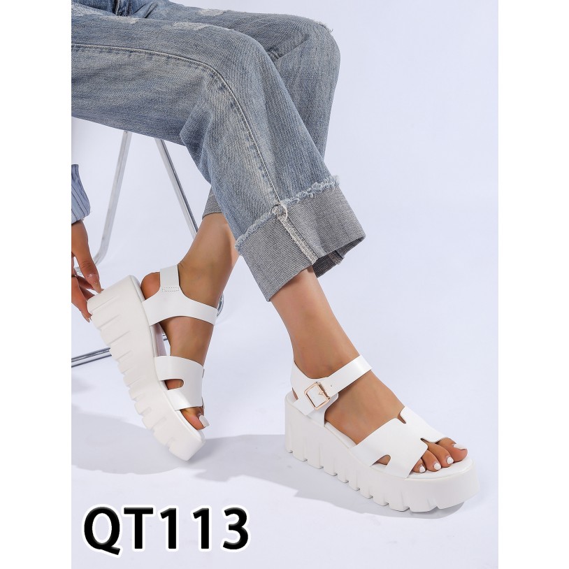 QT113