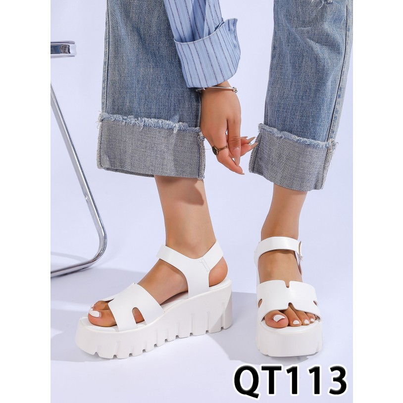 QT113