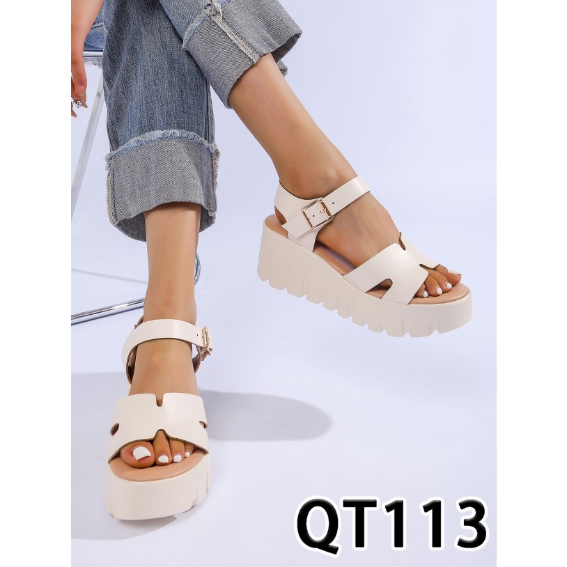 QT113