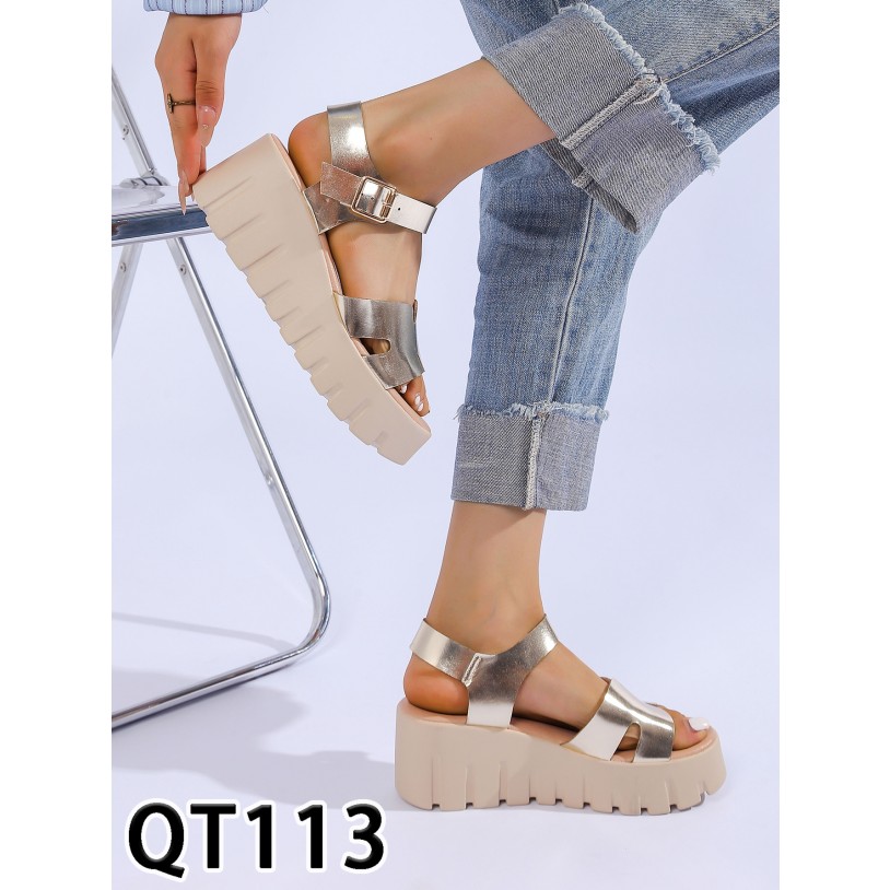 QT113