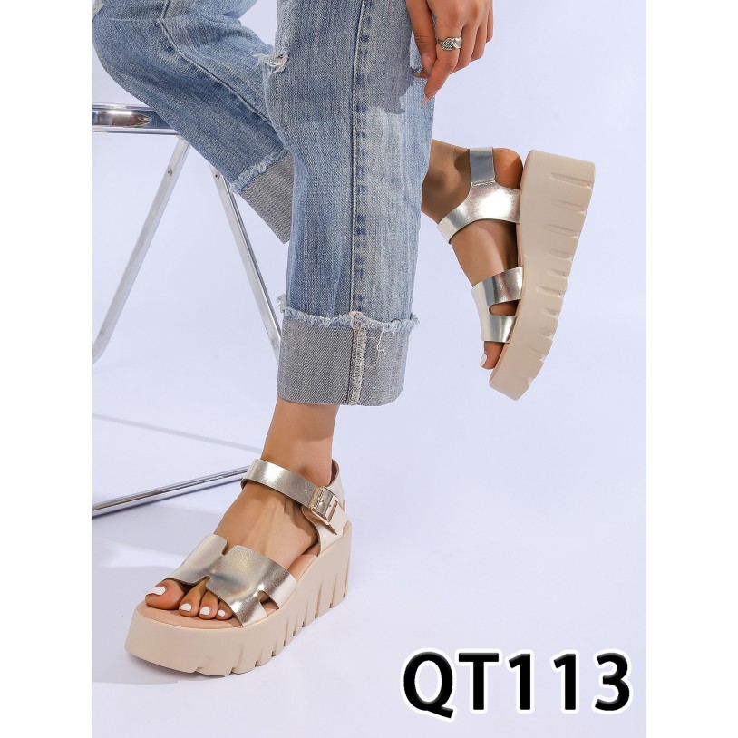 QT113