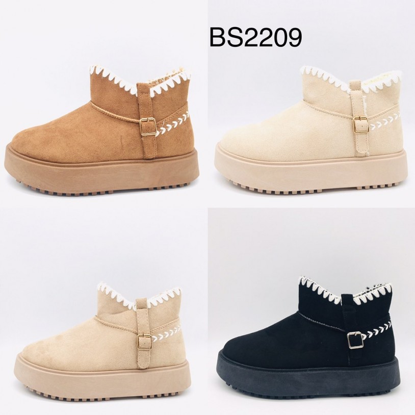 BS2209