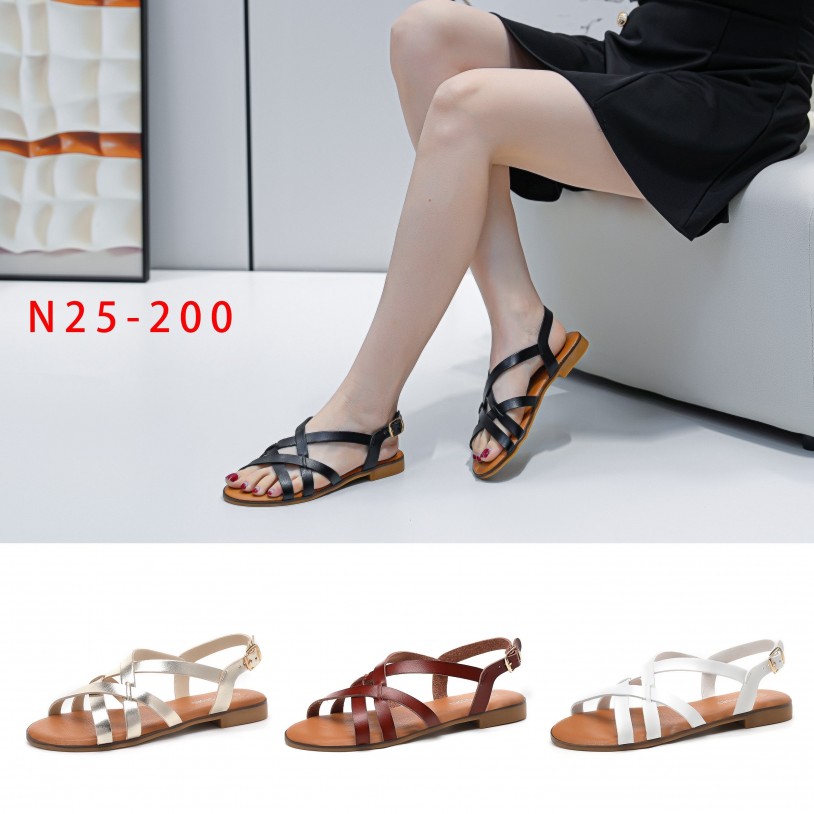 N25-200