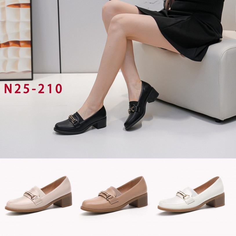 N25-210