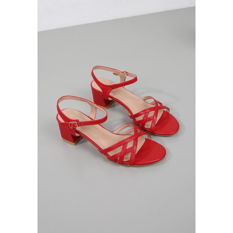 DMS5631-41 (Grande pointure)