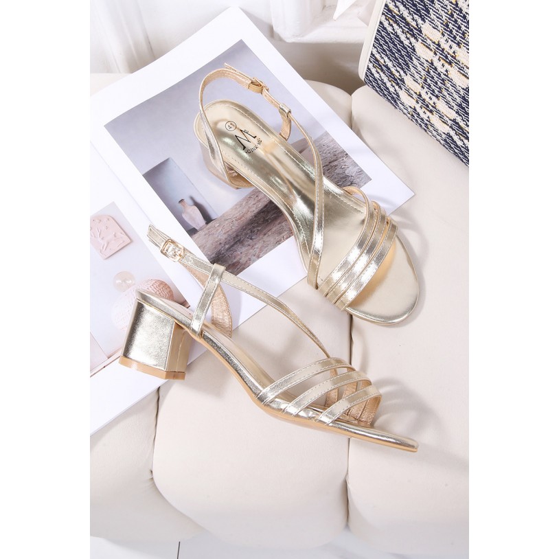 DMS313-8 Grande pointure