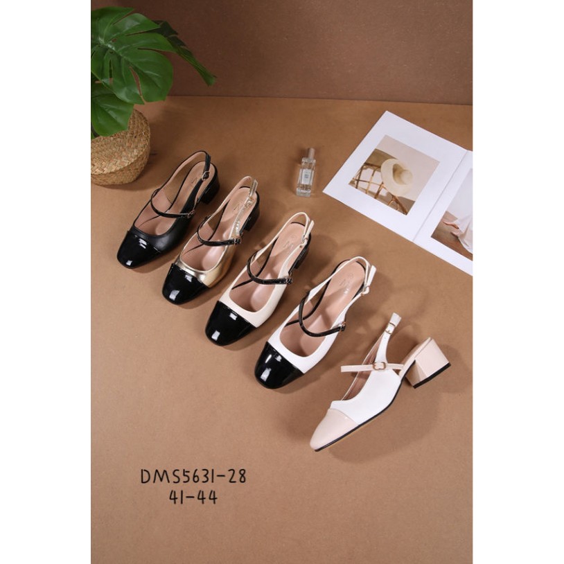 DMS5631-28 (Grande pointure)