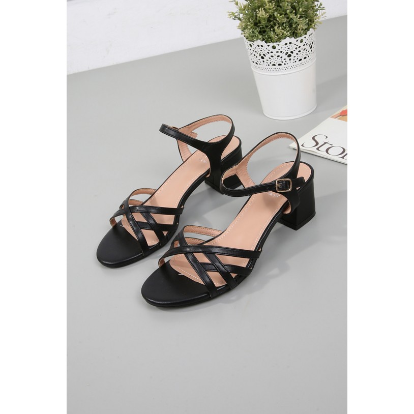 DMS5631-41 (Grande pointure)