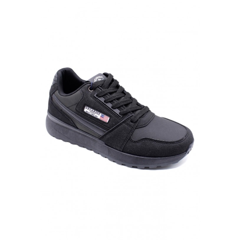 DSE011