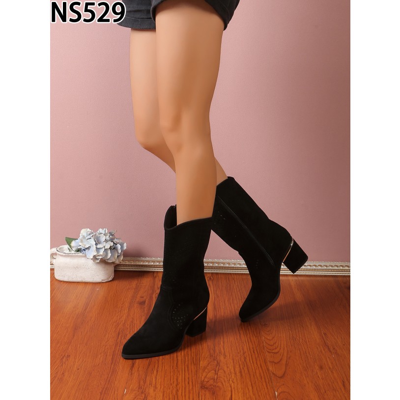NS529