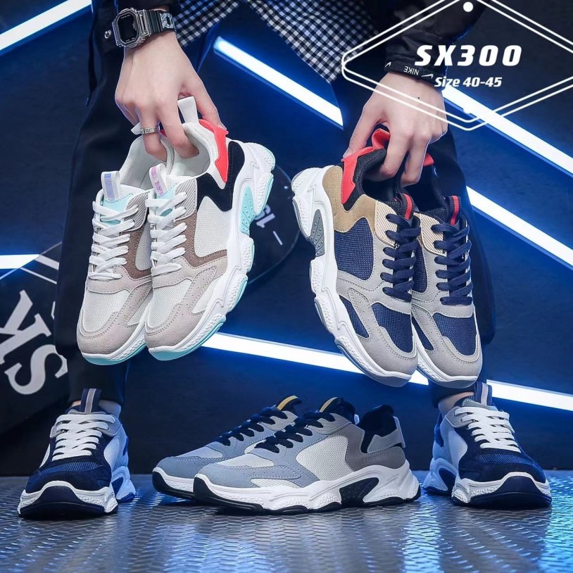 SX300