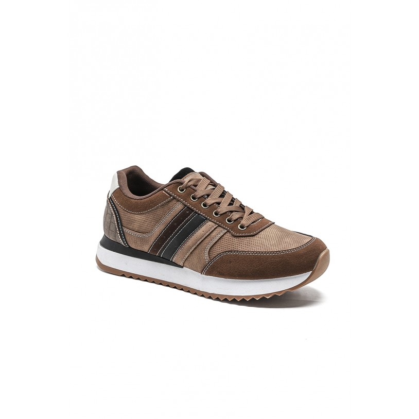 WL559-A