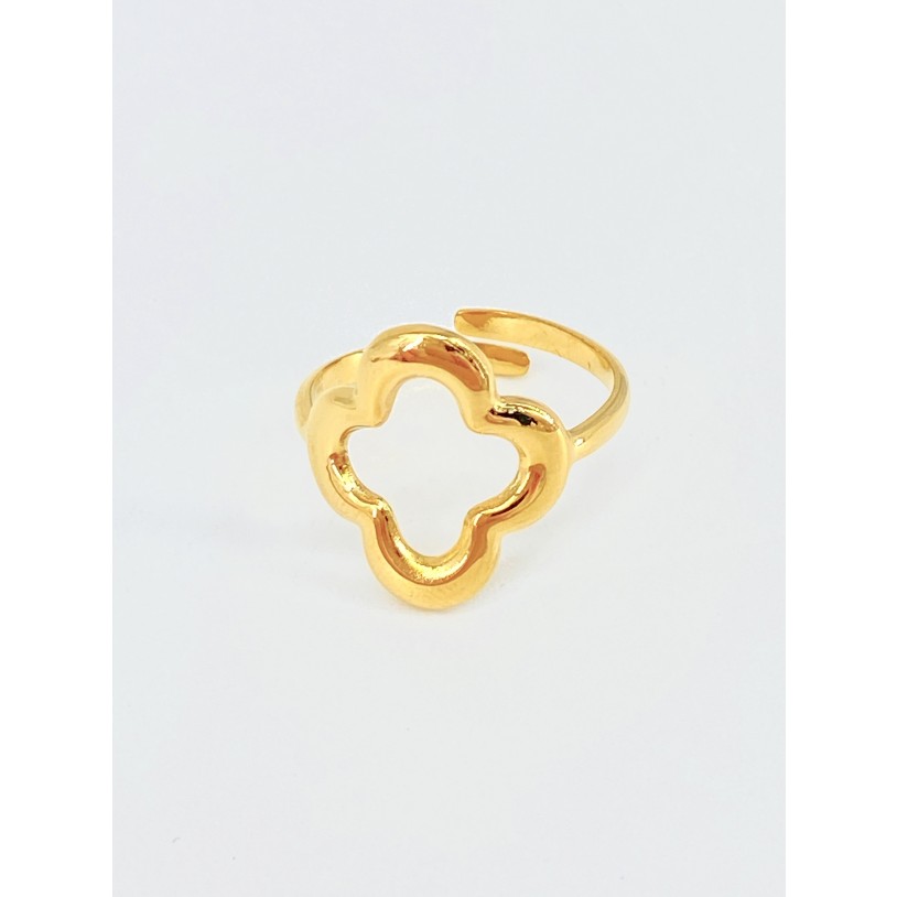 BAGUE35-8