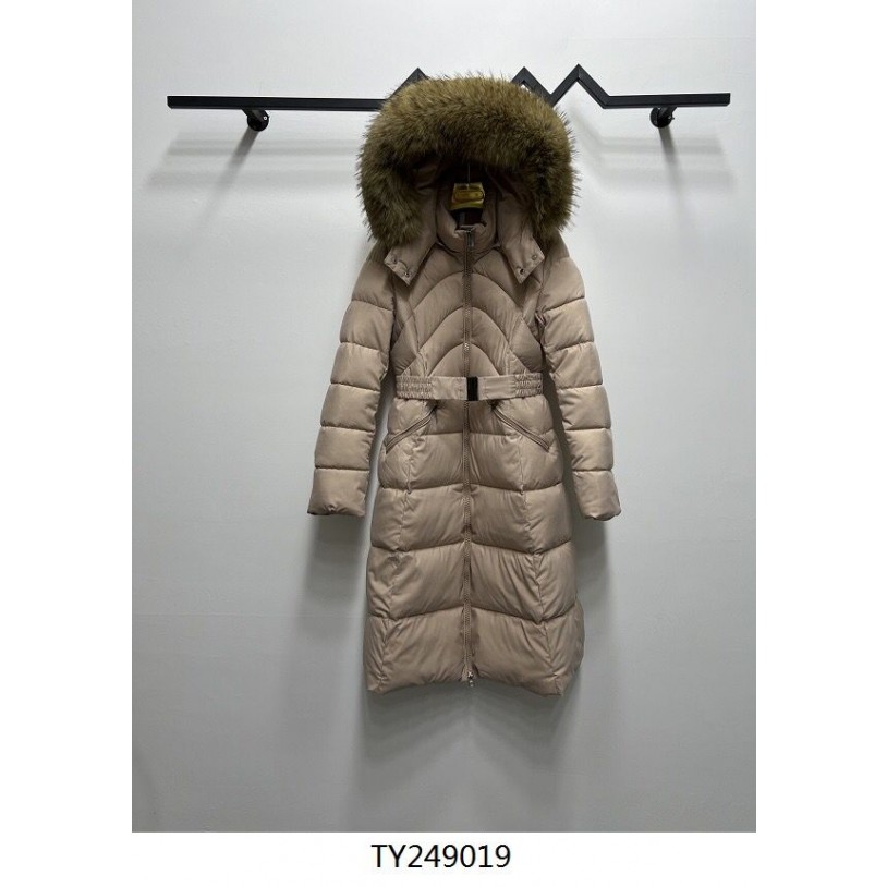 TY249019