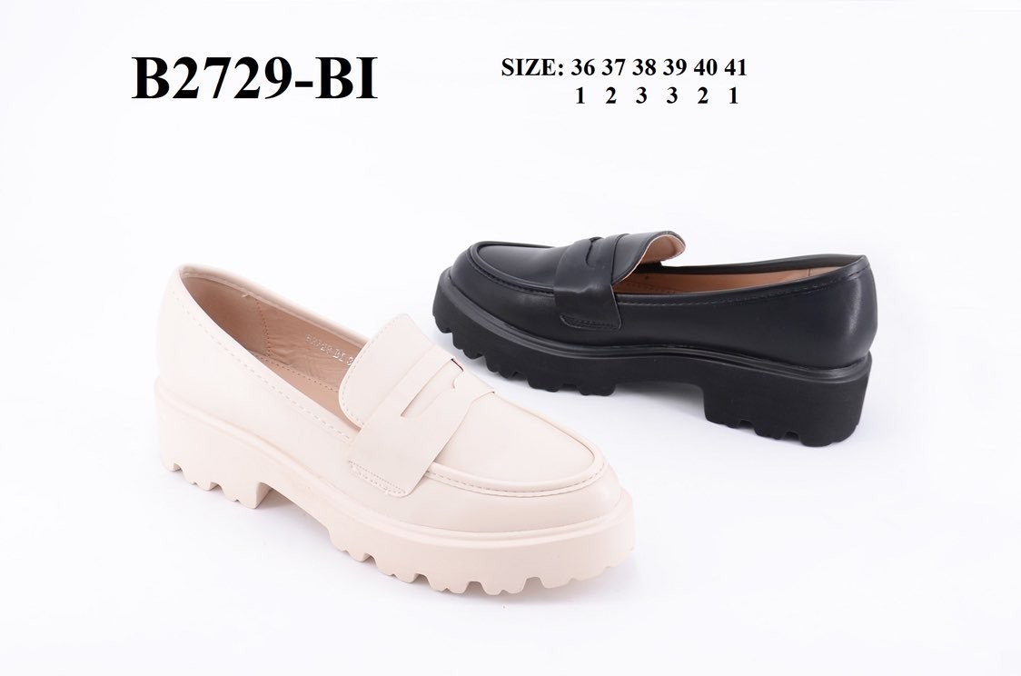 B2729-BI