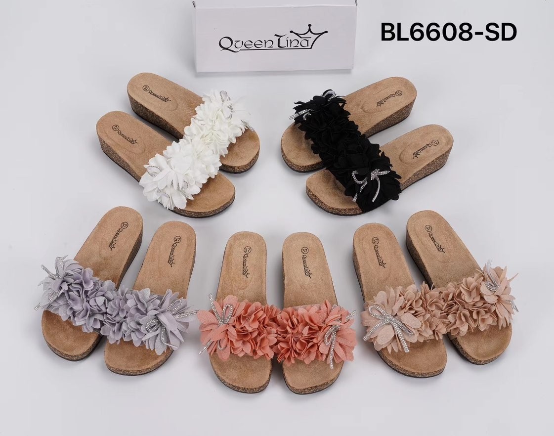 BL6608-SD