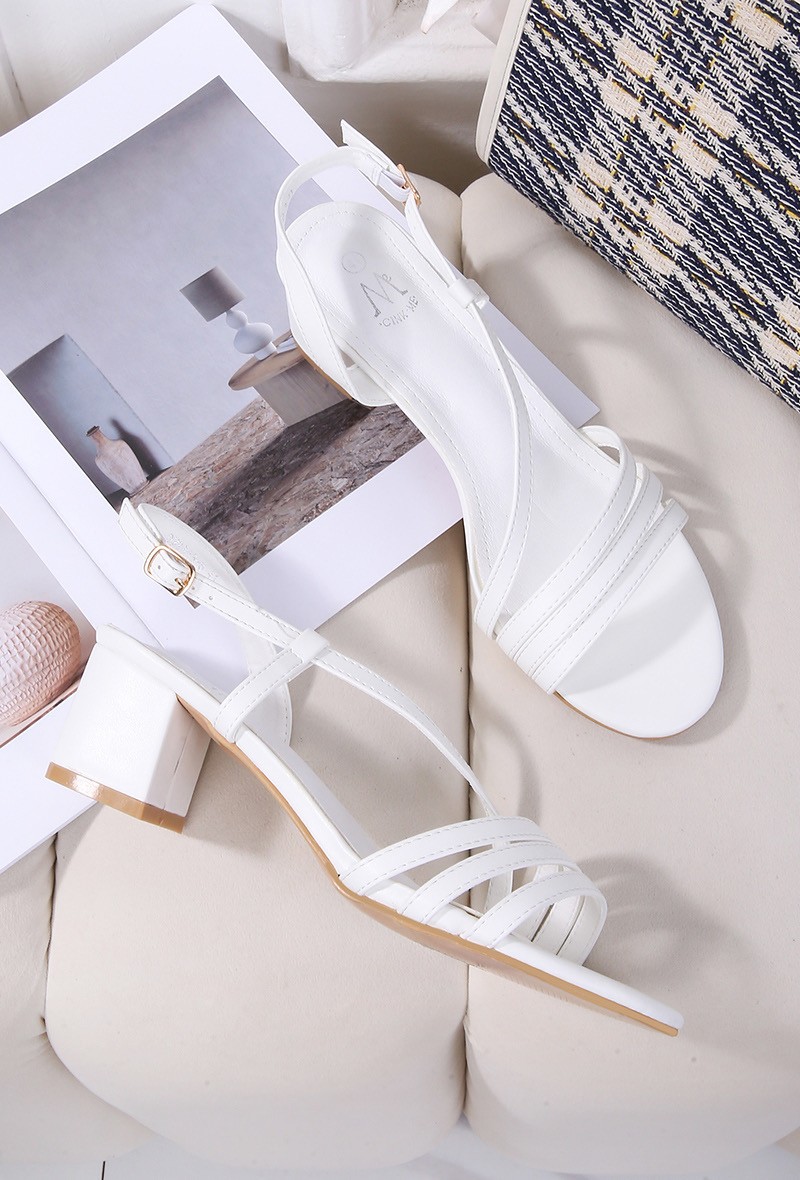 DMS313-8 Grande pointure