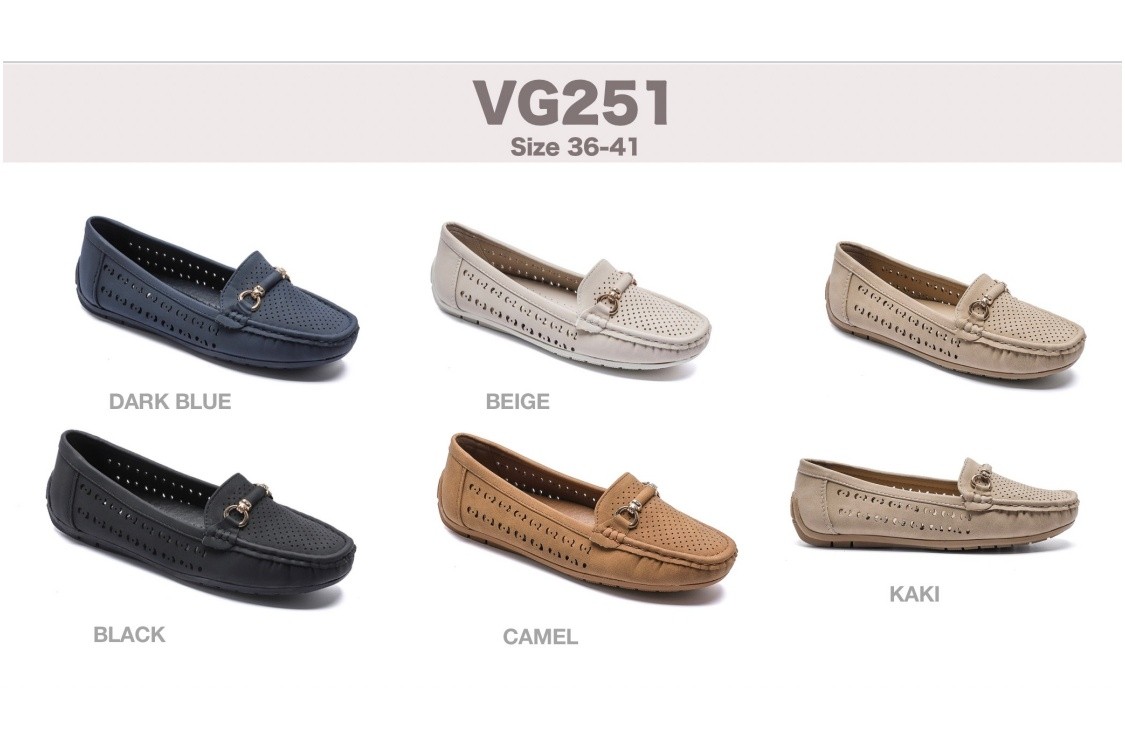 VG251