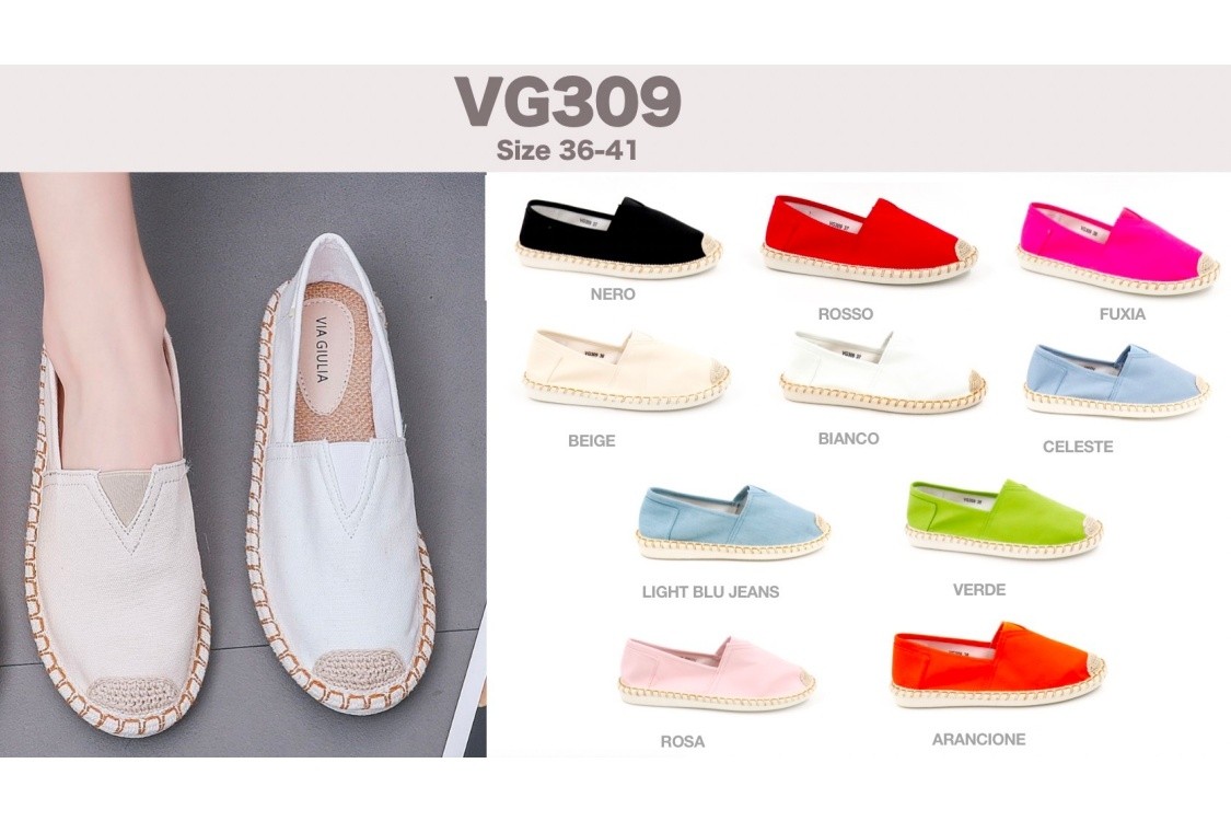 VG309