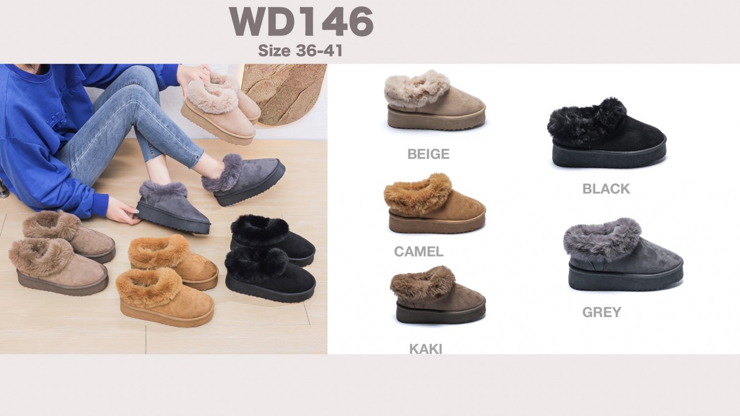 WD146