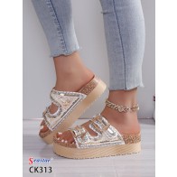 CK313