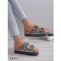 CK313