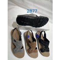 TLS-2877