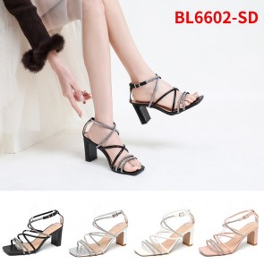 BL6602-SD