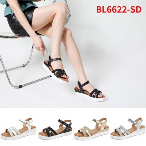 BL6622-SD