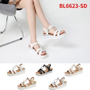 BL6623-SD