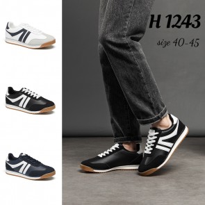 H1243