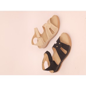 DM22-62 Grande pointure