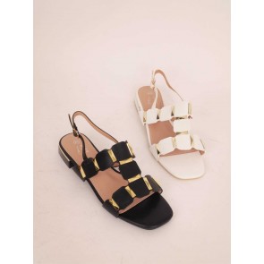 DMS5631-22M (Grande pointure)
