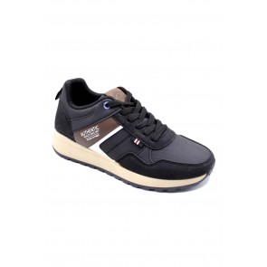 DSE012