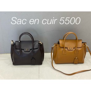 5500(1FB1