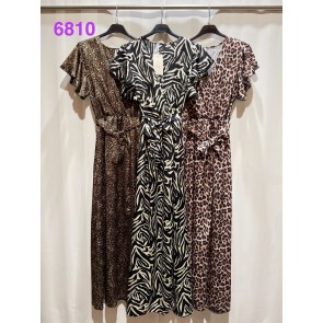 SS-6810
