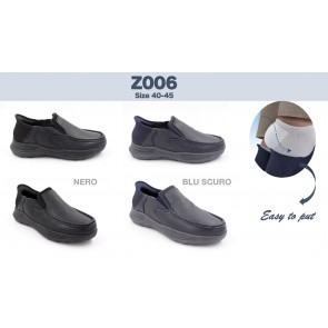 Z006
